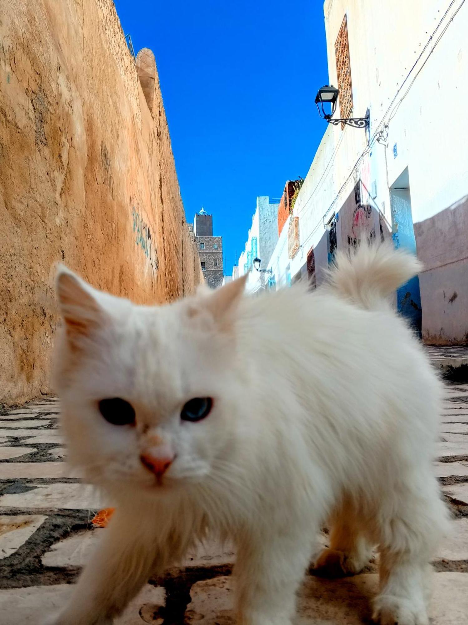 Dar Baaziz 3 Daire Susa Dış mekan fotoğraf